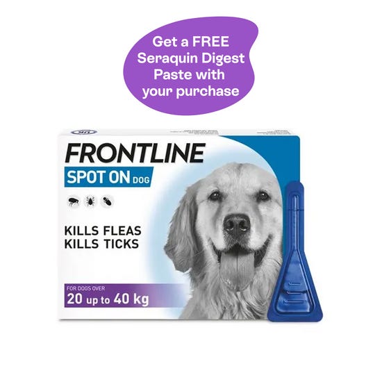 Frontline Spot On Dog - Large Dog (20-40kg) - 3 Pipette