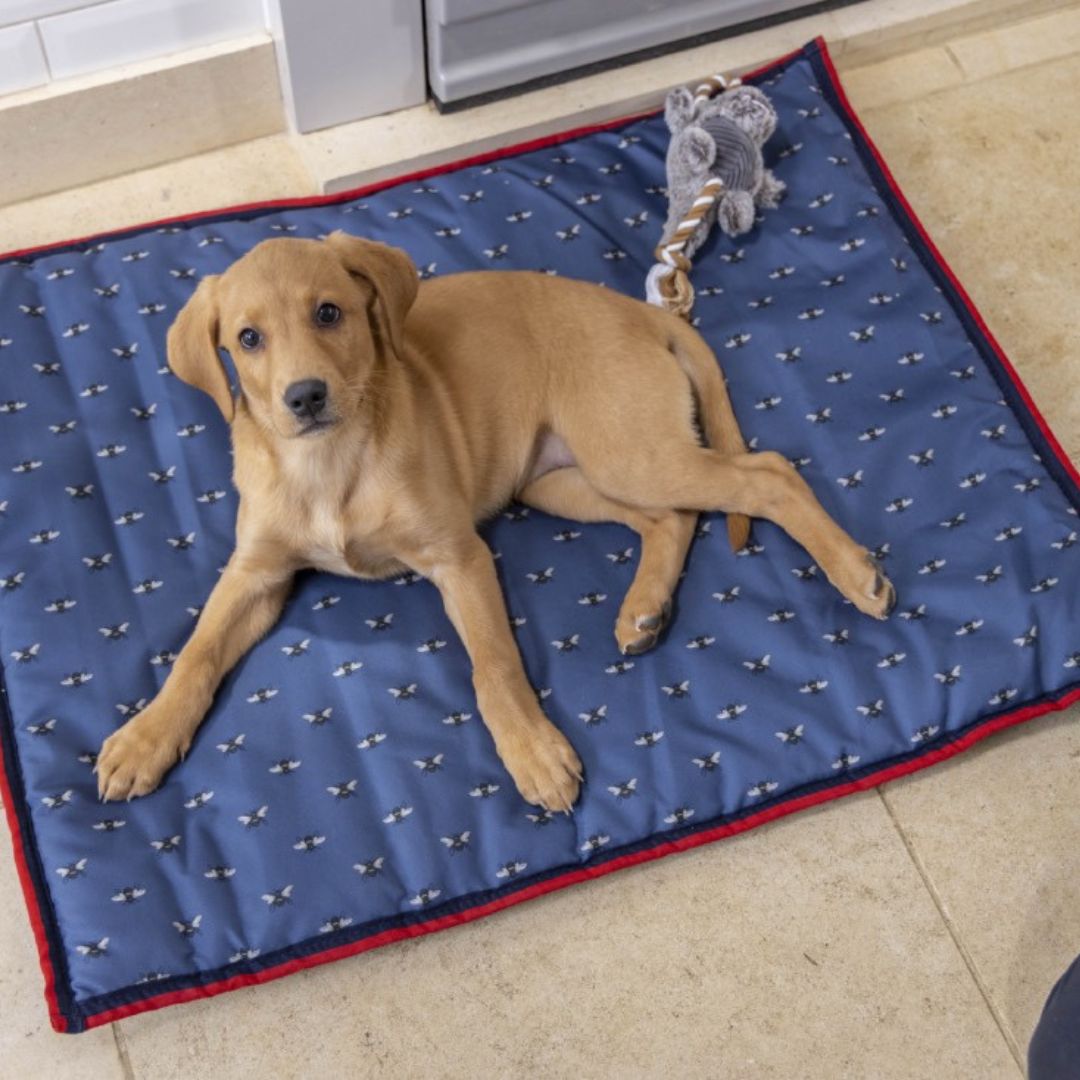 House of Paws Bee Water Resistant Boot Mat – Navy, Large/XL 110 x 68cm