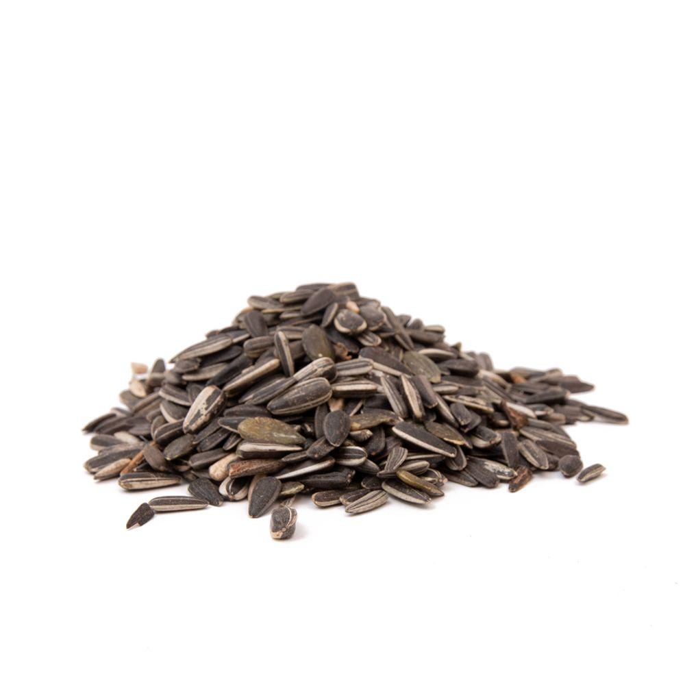 Norah's Seed Mix – 100g Sunflower & Pumpkin Seed Treat for Small Animals