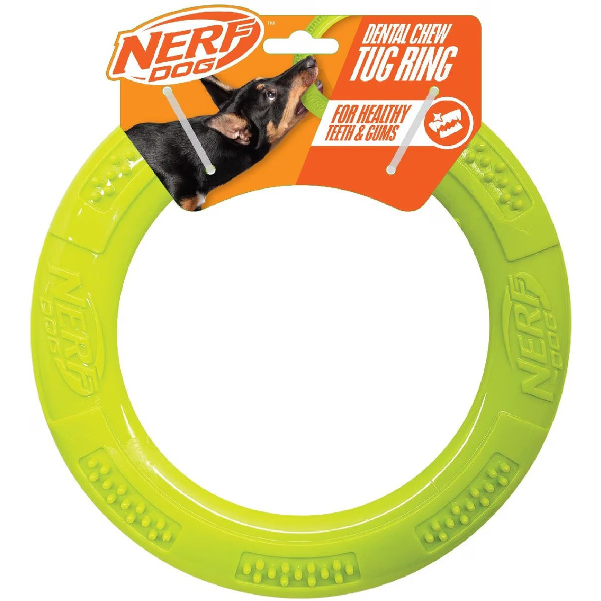 Nerf Dog TPR dental tug ring dog toy, 9 inch, green