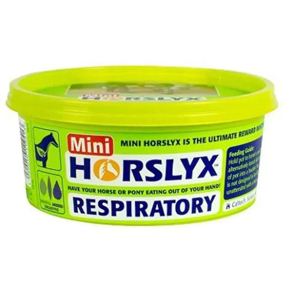 Horslyx Respiratory Mini Lick – 650 g x 12 Horse Treats