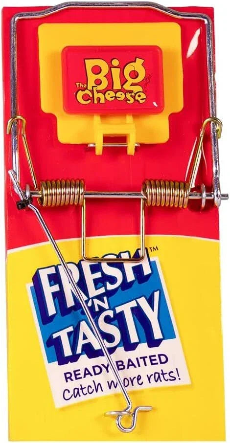 The Big Cheese Fresh Baited Rat Trap – Ready-to-Use Snap Trap - Animall