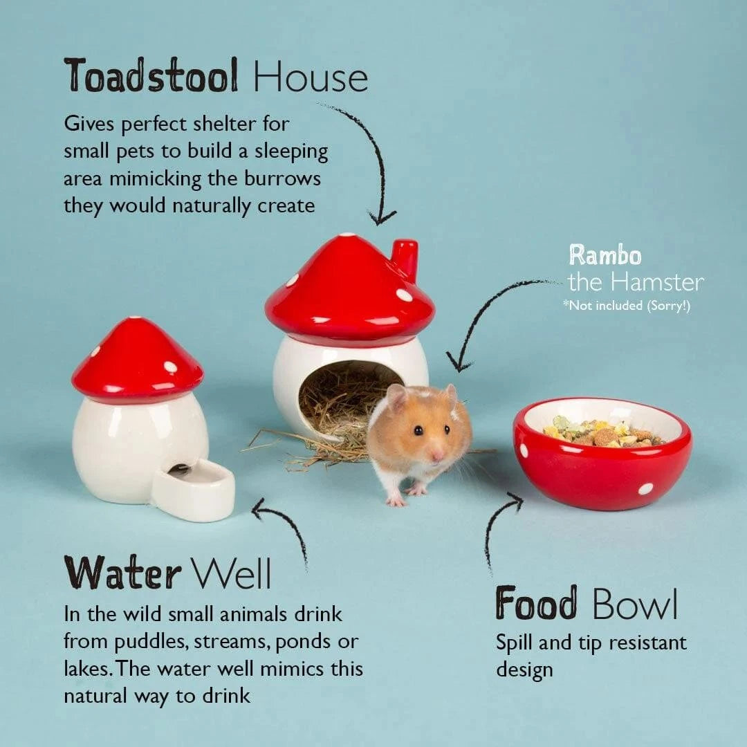 Small Animal House Gift Set – Toadstool Mushroom Food & Water Bowls for Hamsters & Gerbils