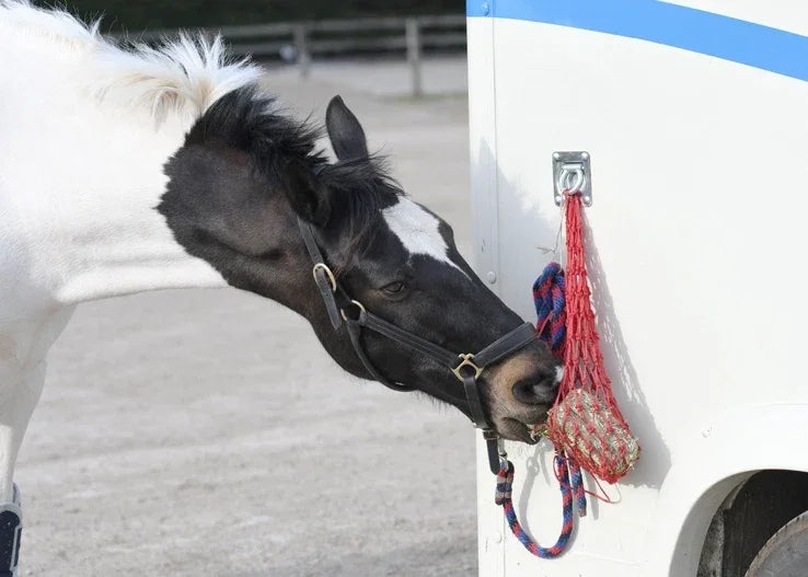 Equilibrium Munch Net Small Hole – For Calm & Vita Munch Fibre Blocks