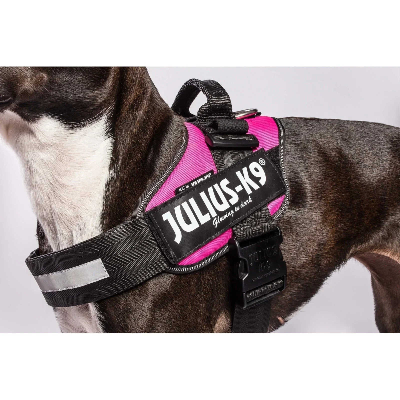 Julius-K9 IDC® Power Dog Puppy Harness – Strong, Adjustable & Reflective SIZE: 4, DARK PINK
