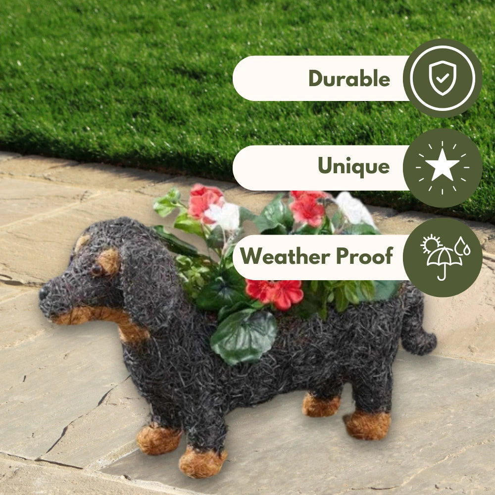 Smart Garden Sausage Dog Planter - Weatherproof Indoor/Outdoor Dachshund-Shaped Plant Pot