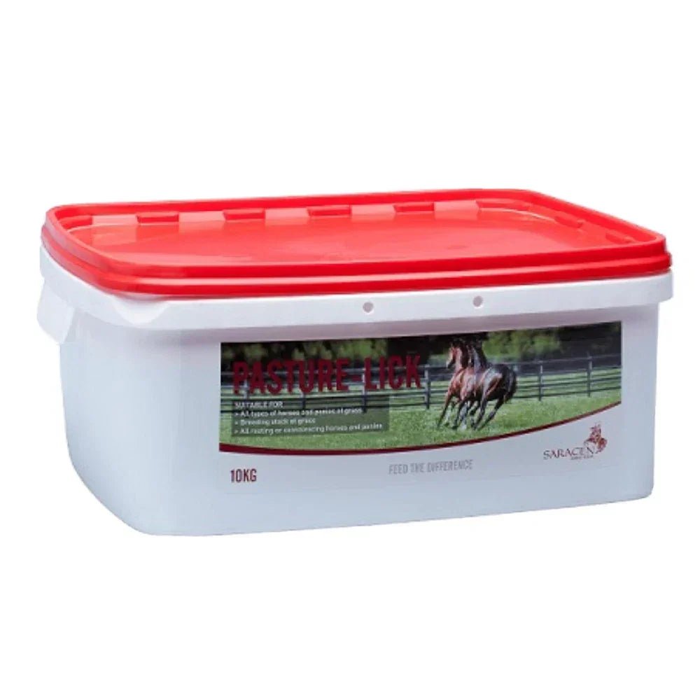 Saracen Pasture-Lick for Horses 10kg – Vitamin & Mineral Lick for Forage-Fed Horses and Ponies
