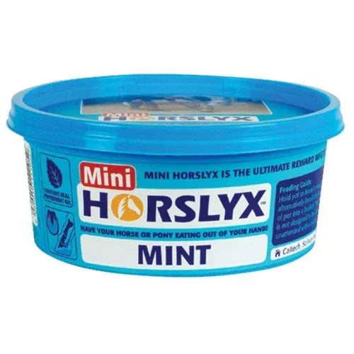 Horslyx Minis Horse Lick Mint, 650 g for Horses & Ponies x 12
