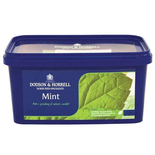 Dodson & Horrell Mint 1kg – Horse & Pony Digestive Support