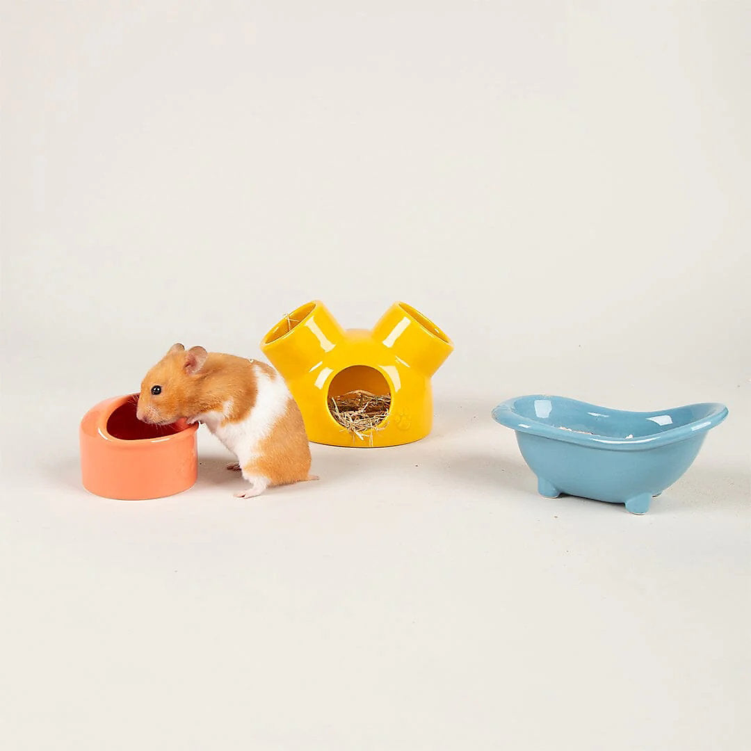 Scruffs Small Pet Colours Ceramic Set – House, Sand Bath & Food Bowl for Hamsters & Gerbils