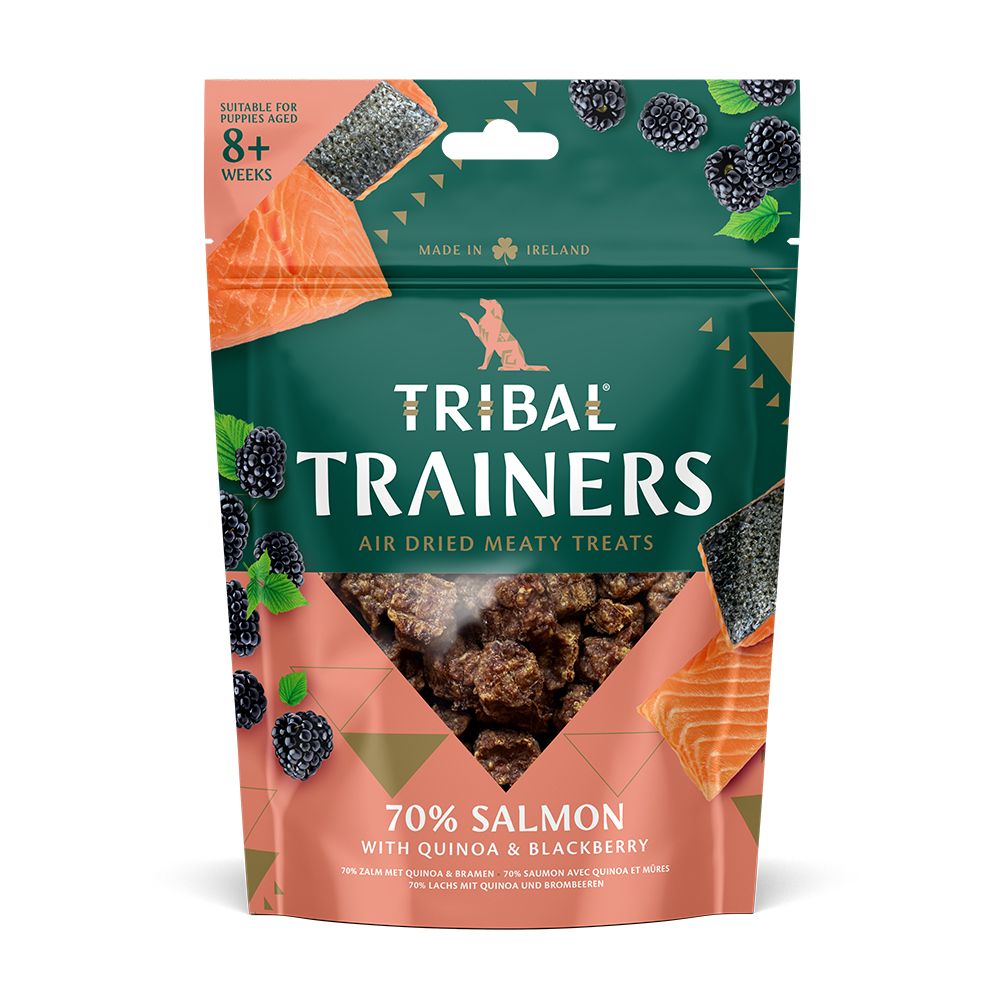 Tribal Trainers Salmon & Blackberry