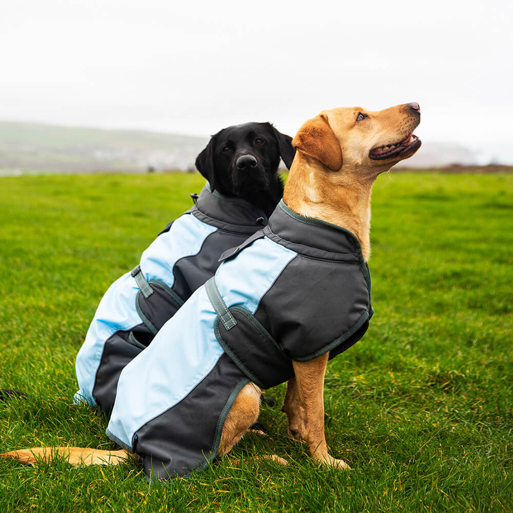 Henry Wag Waterproof Dog Coat – Extra Small, Blue, Fleece-Lined